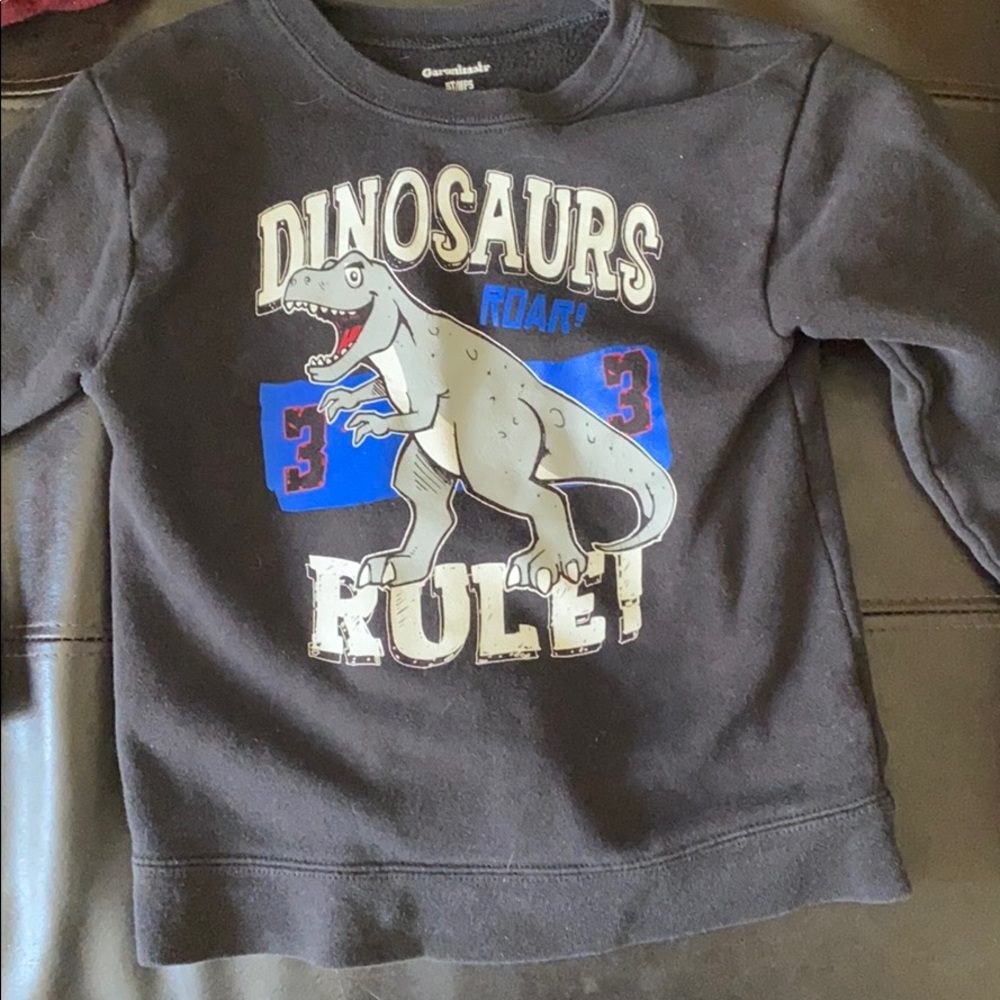 Boys dinosaur sweat shirt